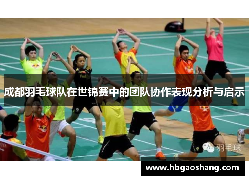 成都羽毛球队在世锦赛中的团队协作表现分析与启示