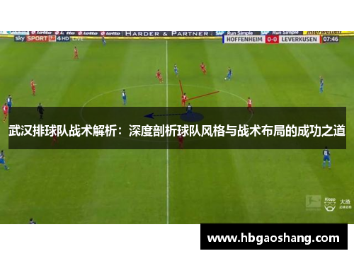 武汉排球队战术解析：深度剖析球队风格与战术布局的成功之道