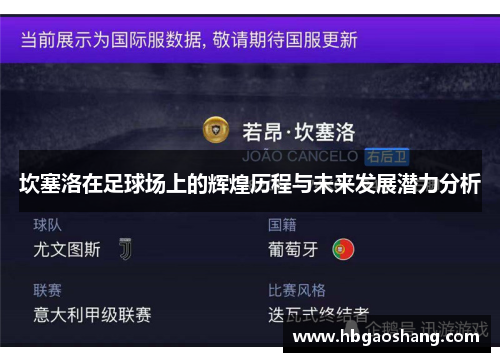 坎塞洛在足球场上的辉煌历程与未来发展潜力分析