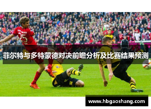 菲尔特与多特蒙德对决前瞻分析及比赛结果预测